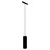 Eglo Easy Track Pendelleuchte 