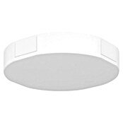 Eglo Stromeinspeisung EASYT (Ø x H: 120 x 22 mm, Weiß) | BAUHAUS