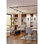 Eglo Easy Track Pendelleuchte (Schwarz, L x H: 120 x 1 100 mm) | BAUHAUS