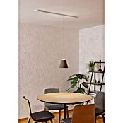 Eglo Stromeinspeisung EASYT (Ø x H: 120 x 22 mm, Weiß) | BAUHAUS