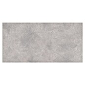 Cersanit Terrassenfliese Metropolis (59,3 x 119,3 x 2 cm, Grey, Matt) | BAUHAUS