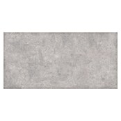 Cersanit Terrassenfliese Metropolis (59,3 x 119,3 x 2 cm, Grey, Matt) | BAUHAUS