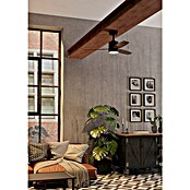 Eglo Ventilador de techo Mandaree (Negro/Madera, 106 cm, 29 W, Blanco cálido) | BAUHAUS