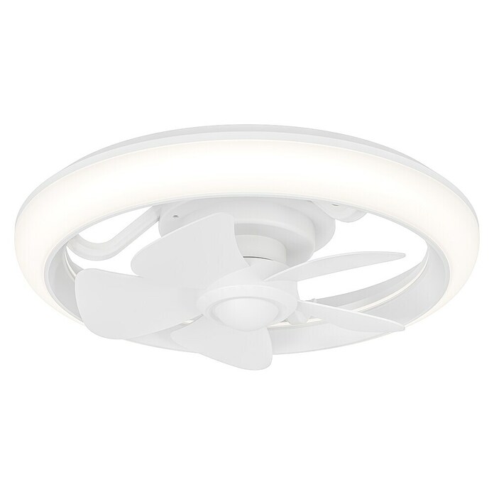 Eglo Ventilador de techo Fernandina (Blanco, 38 cm, 30 W, RGB) | BAUHAUS