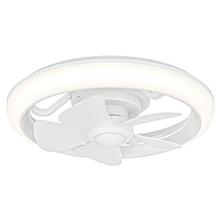 Eglo Ventilador de techo Fernandina (Blanco, 38 cm, 30 W, RGB)