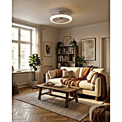 Eglo Ventilador de techo Salvador (Blanco, 46 cm, 17,6 W, Blanco cálido) | BAUHAUS