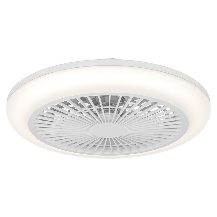 Eglo Ventilador de techo Salvador (Blanco, 46 cm, 17,6 W, Blanco cálido) | BAUHAUS