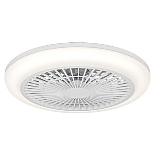 Eglo Ventilador de techo Salvador (Blanco, 46 cm, 17,6 W, Blanco cálido)
