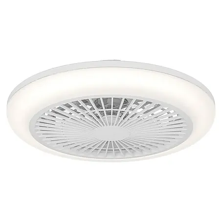 Eglo  Deckenventilator Salvador
