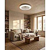 Eglo Ventilador de techo Windley (18 W, Blanco, Diámetro: 51 cm, RGB) | BAUHAUS