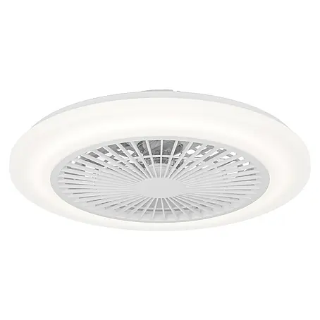 Eglo  Deckenventilator Windley