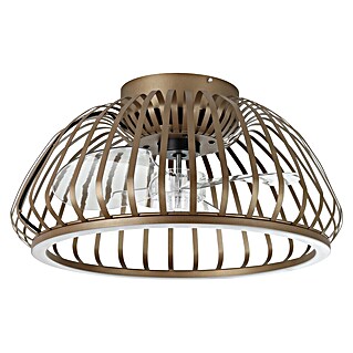 Eglo Ventilador de techo Espinal (20 W, Bronce, Diámetro: 46,3 cm, Con bombillas, LED)
