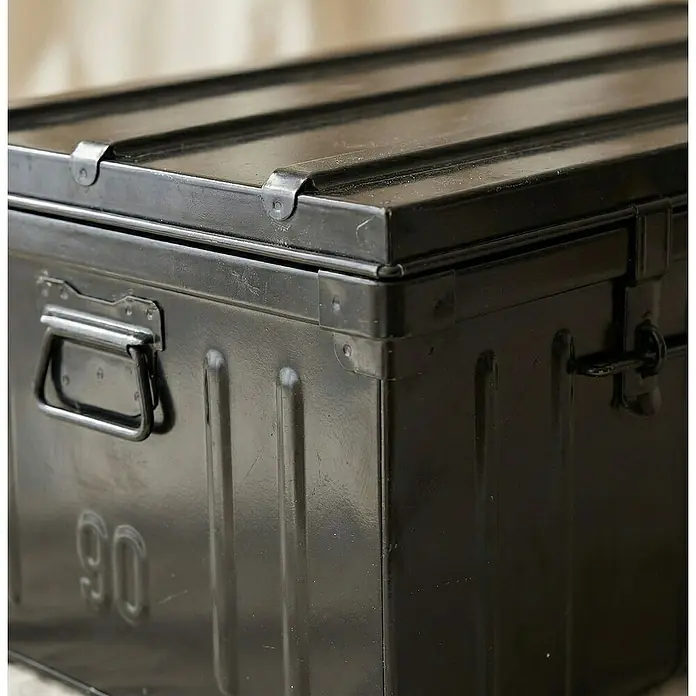 Proregal Aufbewahrungsbox Metall Transportbox GELDO - L x B x H: 50 x 90 x 37 cm, Stahl, Anthrazit