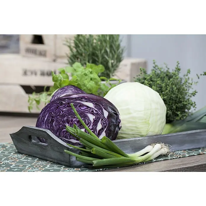Piardino Rotkohl 6er Schale - Brassica oleracea - Graues Holztablett mit Rot- und Weißkohl, Frühlingszwiebeln und Kräutern.