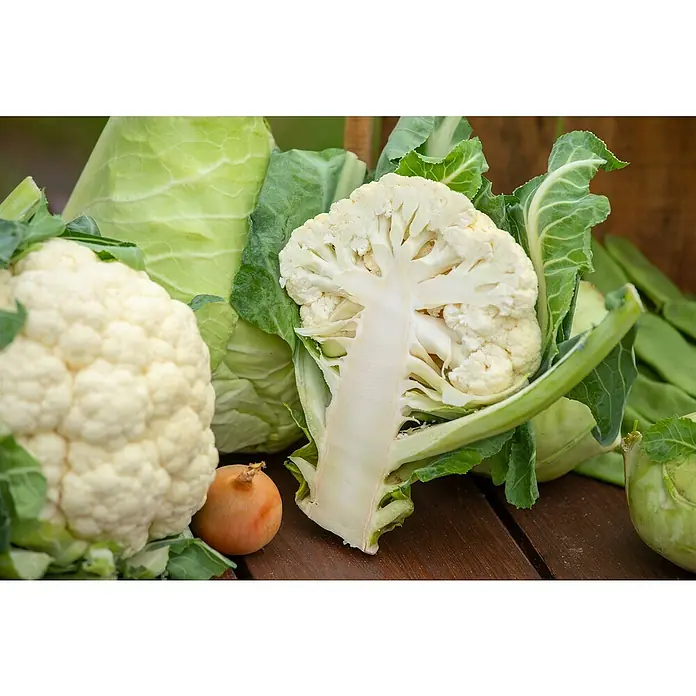 Piardino Blumenkohl 6er Schale - Brassica olerac. var. Botryti - Eine Auswahl frischer Gemüse, darunter ganzer und halbierter Blumenkohl, grüner Kohl und eine Zwiebel auf Holz.