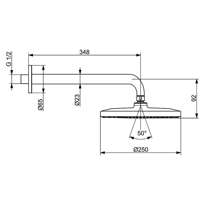 Hansa Viva Kopfbrause (Durchmesser: 25 cm, 12 l/min, Chrom) | BAUHAUS