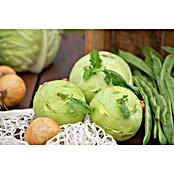 Brassica oleracea gongylodes 0 Kohlrabi