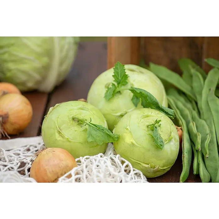 Piardino Kohlrabi 6er Schale - Brassica oleracea var. gongylodes, Erntezeit: Juli - Drei frische grüne Kohlrabis mit Blättern, umgeben von Zwiebeln, Kohl und grünen Bohnen auf Holz.