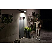 Osram Solar-Außenwandleuchte Endura Flood (10 W, 19,4 x 6,7 x 31,3 cm, Kaltweiß) | BAUHAUS