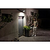 Osram Solar-Außenwandleuchte Endura Flood (10 W, 19,4 x 6,7 x 31,3 cm, Kaltweiß) | BAUHAUS