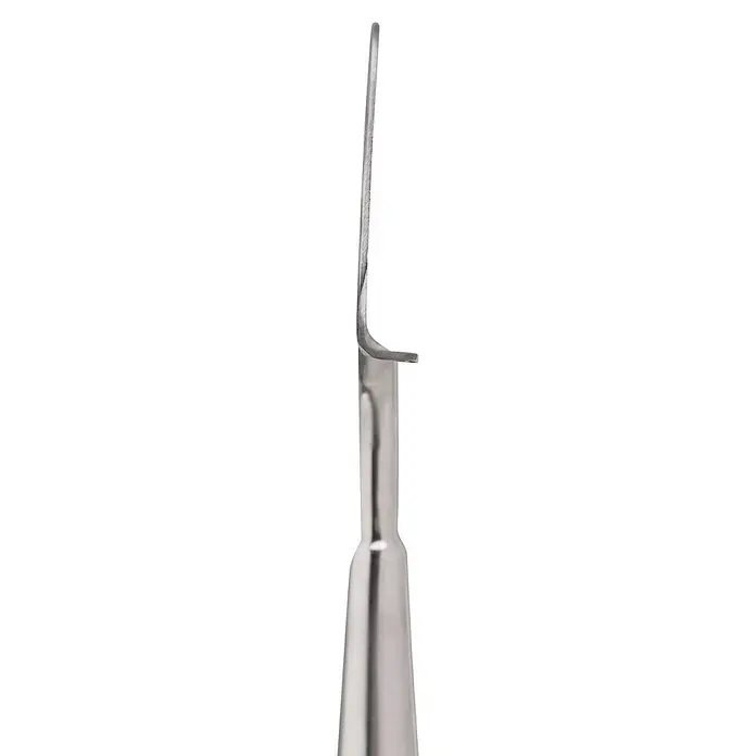 Gardol Rasenkantenstecher - Esche, Edelstahl - Seitliche Ansicht eines silbernen, metallischen Dentalspatels mit langer, dünner Klinge und sich verjüngendem Griff.