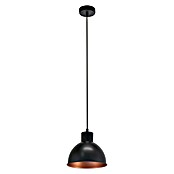 Eglo Okrogla viseča svetilka Truro 1  (Višina: 110 cm, Premer: 210 mm) | 3015 - Pendelleuchte Wohnraum | CACA - Pendelleuchte Wohnraum | CAC - Indoorleuchten | CA - Beleuchtung | C - Elektro | BAUHAUS