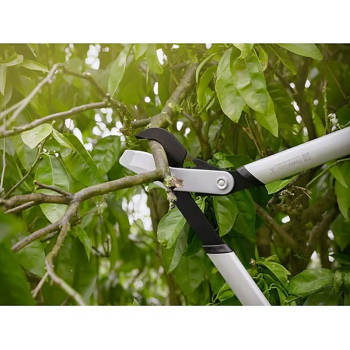 Fiskars PowerGear Astschere LX92-S - Max. Aststärke: 38 mm - Gartenschere PowerGear X beim Beschneiden eines Astes mit grünen Blättern. Präzise und effizient für jeden Gartenliebhaber.