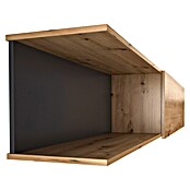 Meka Block Conjunto mueble de salón K-502 (Gris París/Roble Albar, 2 pzs.) | BAUHAUS