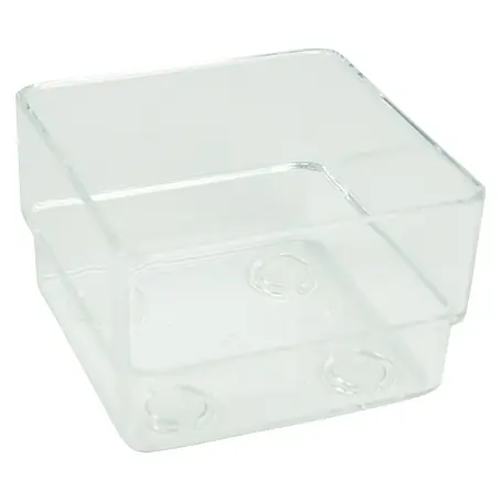 Deblanch  Organizador