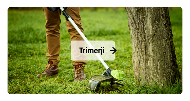 Trimerji