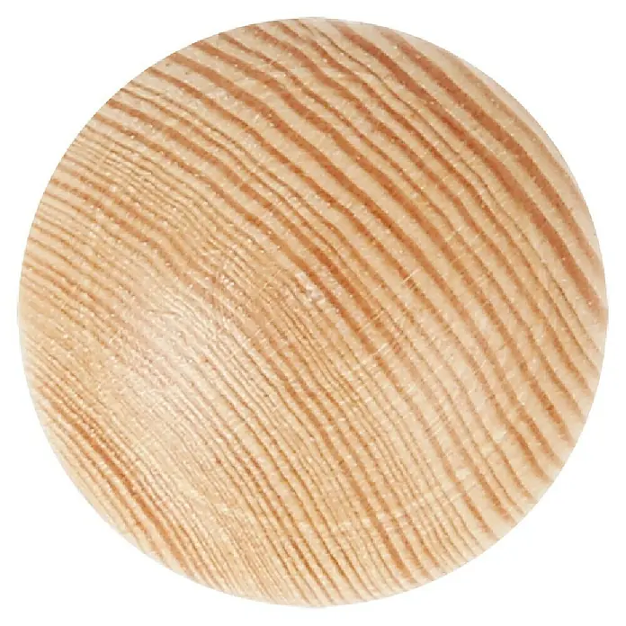 Rei Möbelknopf - Durchmesser: 40 mm, Holz, Buche - Runder heller Holzkreis mit ausgeprägter Holzmaserung.