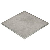 Momastela Feinsteinzeugfliese Alexandria (60 x 60 cm, Grigio) | BAUHAUS