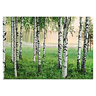Fotomural Nordic Forest (An x Al: 366 x 254 cm, Papel)