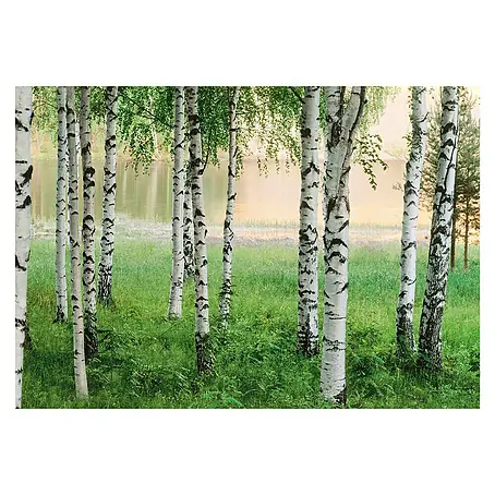 Fotomural Nordic Forest