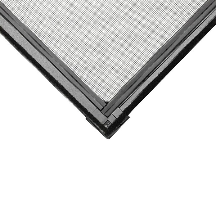 tesa Insektenschutzgitter (Verstellbarkeit: 80 x 80 cm - 140 x 140 cm, Farbe Rahmen: Anthrazit, Klemmbefestigung, Fenster)