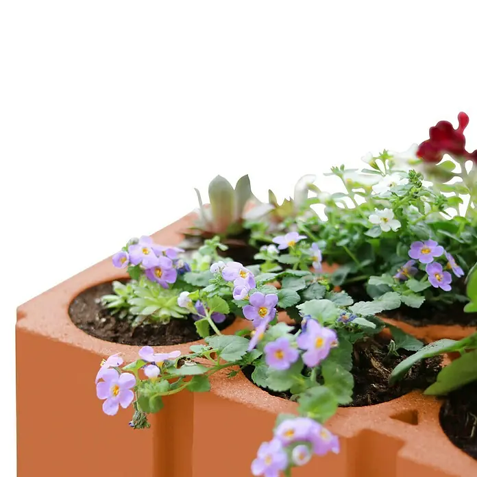 Weinregal - 36,5 x 24 x 24,9 cm, Anzahl Flaschen: 6 Stk., Ton - Nahaufnahme eines Pflanzgefäßes aus Ziegeln, das mit verschiedenen kleinen Blumen und Pflanzen gefüllt ist, die eine natürliche Schönheit zeigen.
