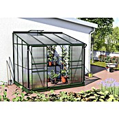 Vitavia Gewächshaus (2,01 x 2,62 x 2,21 m, Glasstärke: 6 mm, Smaragd)