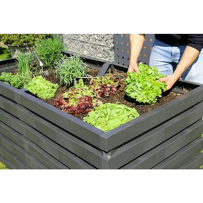 Garantia Huerto Skyline L - 161 x 80 x 75 cm, Plástico, Grafito - Huerto elevado gris oscuro con varias plantas, una persona recolecta lechuga.