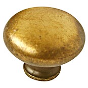 Nesu Pomo para muebles 2353C (Ø x Al: 30 x 24 mm, Acero, Mate antiguo)