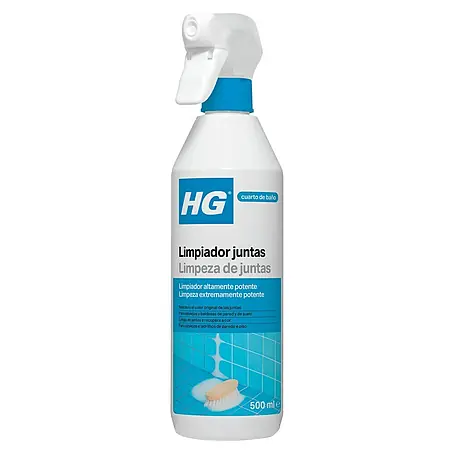 HG  Limpiador para juntas