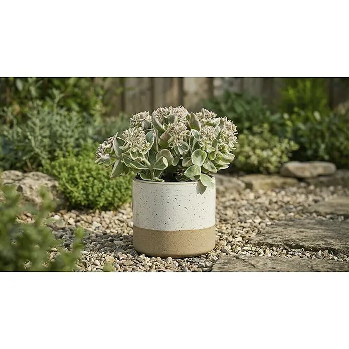 Mica Decorations Übertopf rund Lago - Außenmaß (Ø x H): 16 x 14,5 cm, Keramik, Weiss - Zweifarbiger Keramik-Pflanztopf, gesprenkeltes Weiß und Natur-Beige, mit Pflanze auf Außenschotter.
