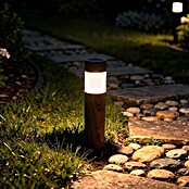 Solarna svjetiljka sa šiljkom za zemlju  (Visina: 388 mm, LED, Topla bijela, IP44, Smeđa) | BAUHAUS