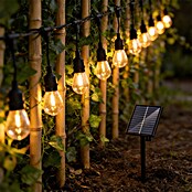 LED solarna svetlobna veriga  (Za zunanjo uporabo, 10 m, Toplo bela) | Solarne svetilke | Zunanja svetila | Elektro in svetila | Izdelki | BAUHAUS