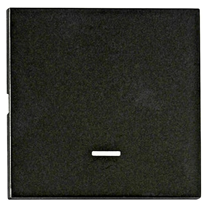 Schrack Wippschalter Visio S 55 (L x B x H: 55 x 55 x 7 mm, Schwarz, Kunststoff, mit Linse Symbol) | BAUHAUS