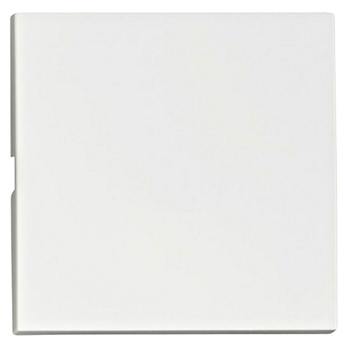 Schrack Wippschalter Visio S 50 (L x B x H: 50 x 50 x 7 mm, Weiß, Kunststoff) | BAUHAUS