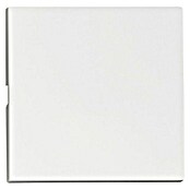 Schrack Wippschalter Visio S 50 (L x B x H: 50 x 50 x 7 mm, Weiß, Kunststoff) | BAUHAUS