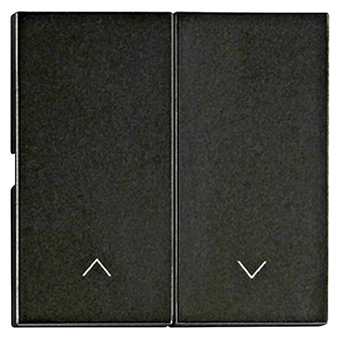 Schrack Serienschalter Visio S 55 (L x B x H: 55 x 27,5 x 7 mm, Schwarz, Kunststoff, mit Pfeilen) | BAUHAUS