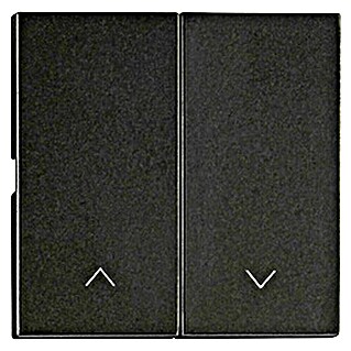 Schrack Serienschalter Visio S 55 (L x B x H: 55 x 27,5 x 7 mm, Schwarz, Kunststoff, mit Pfeilen)