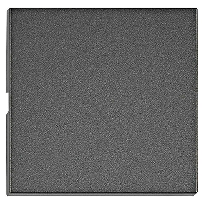 Schrack Wippschalter Visio S 50 (L x B x H: 50 x 50 x 7 mm, Anthrazit, Kunststoff) | BAUHAUS