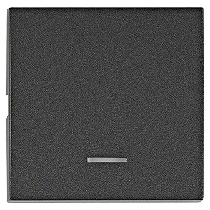 Schrack Wippschalter Visio S 50 mit Linse (L x B x H: 50 x 50 x 7 mm, Anthrazit, Kunststoff) | BAUHAUS